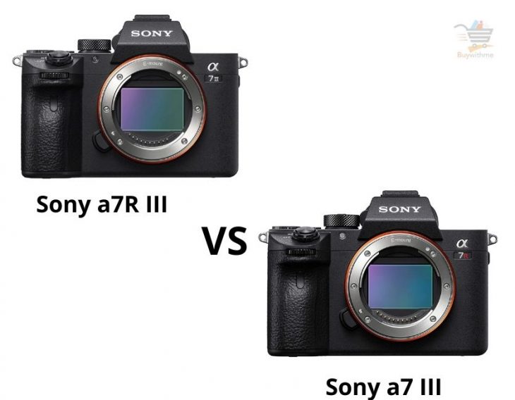 Sony a7 III vs a7R III