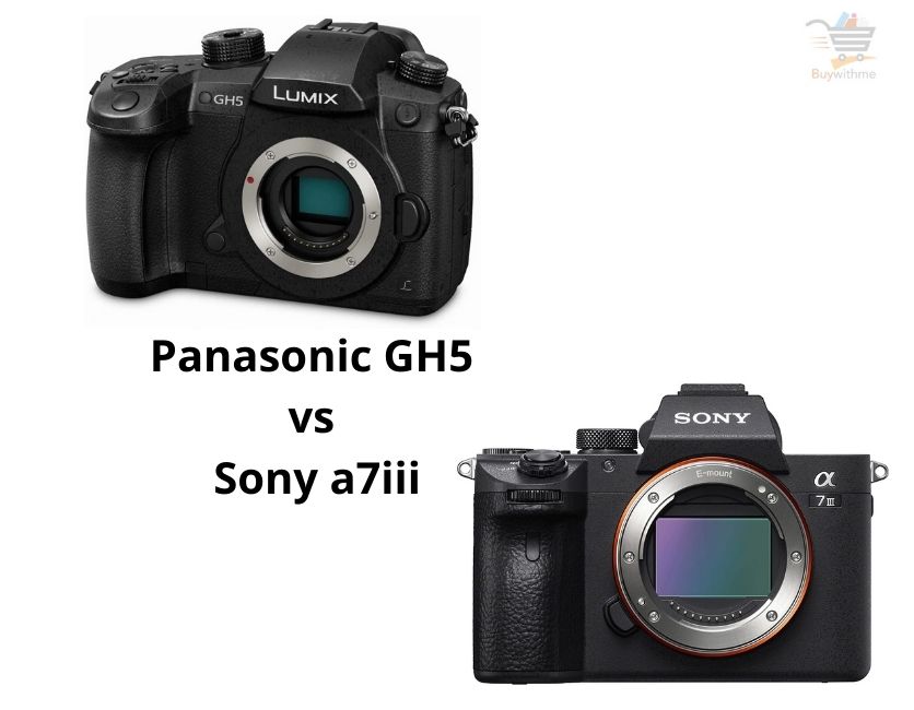 Panasonic GH5 vs Sony a7iii