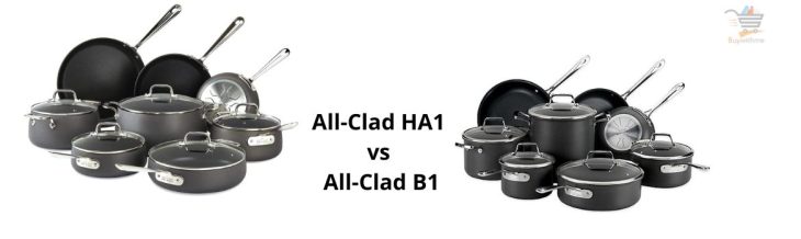 All Clad HA1 vs B1