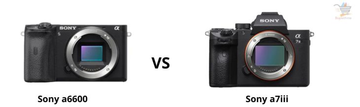 Sony a6600 vs a7iii
