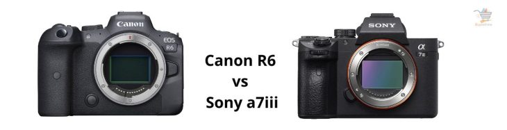 Canon R6 vs Sony a7iii